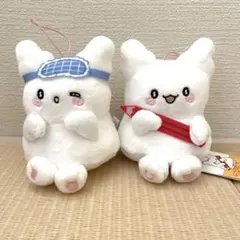 ② はなまるおばけ　マスコットなの　2種