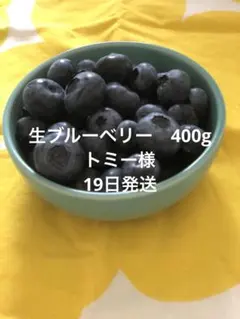 ブルーベリー　400グラム19日発送20日午前着