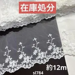 デザインレース約12m