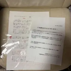 大森靖子 Alchemy アナログレコード 直筆サイン入り デカジャケ - メルカリ