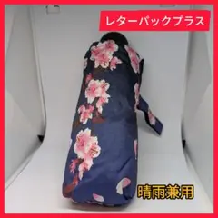 Item thumbnail for item 70ba24a9-c5b2-45c2-8df9-9140ac77adae