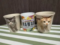 ★新品未使用★猫とハワイのデザインマグカップ3個セット