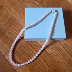 Item thumbnail for item 664e2246-6a88-44d5-8568-e9ae8ae0e747