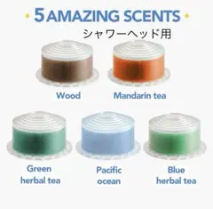 Item thumbnail for item e44e9b67-fd99-405b-8862-1840f15f46f2