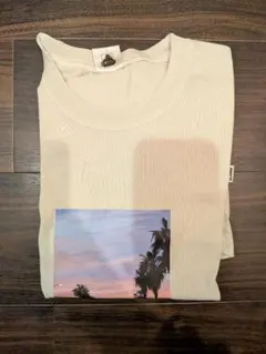 Item thumbnail for item 6c8f725c-dd1a-4b40-96cf-5d0779d4dea0