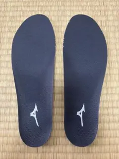 t*r様 ★Mizuno ★インソール ダークグレー(27.5cm)