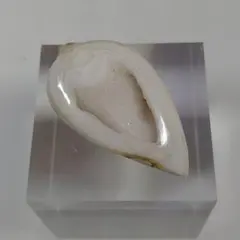 Item thumbnail for item fa1eb879-b357-4db2-b9e8-891ef7e23b66