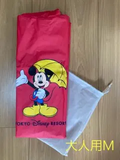 Item thumbnail for item 358858aa-864f-4152-bc77-dd5c46b8b778