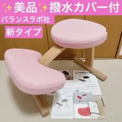 ●良品●バランスイージー　バランスラボ【専用撥水カバー付】ショートフレーム