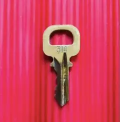 ルイヴィトン パドロック カデナ 鍵1本 各種