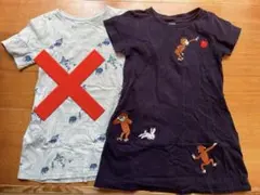 Item thumbnail for item 94bc1b8b-d788-4b8c-86d5-31991a764956