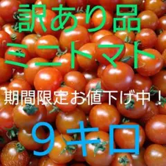 数量限定‼️訳あり トマト 9kg以上 100サイズ - メルカリ