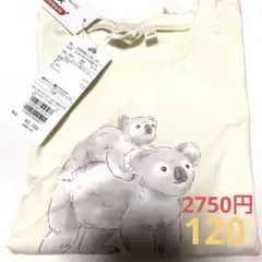 Item thumbnail for item c234726b-7e34-4db9-86e9-2977dd56ea41