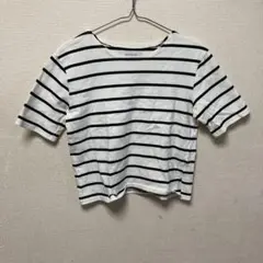 ＼着回し力◎／ CECIL McBEE ボーダー カットソー フリーサイズ