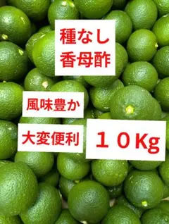 やま☆プロフご覧下さいね☆専用 農薬不使用 スダチ5kg 小ぶりスダチ約