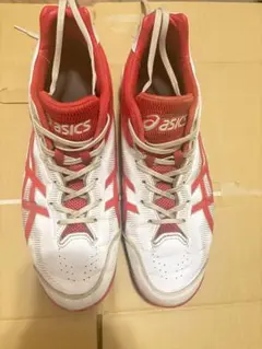 Item thumbnail for item 04baddae-516e-480c-9e20-b8e049f49bf0