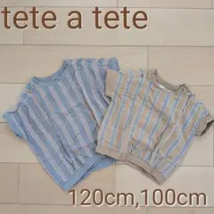 100,120cm ストライプ Tシャツ 兄弟お揃いセット