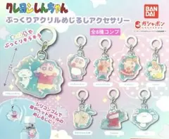 クレヨンしんちゃん ぷっくりアクリルめじるしアクセサリー★全8種コンプリート