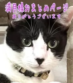 みどり プロフィール必読お願いします みどり プロフィール必読お願いします様専用ページ - メルカリ