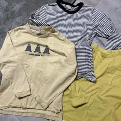 プティマイン CLASSIC 3枚セット　130