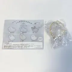 うちの子のけだまだま 犬 プードル