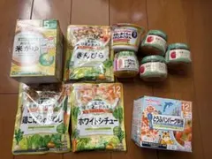 WAKODO 離乳食セット 各種フレーバー10点セット