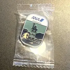 2025年最新】ana ピンバッチの人気アイテム - メルカリ