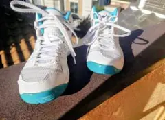 Item thumbnail for item 00fa0fb9-f64f-4900-b127-59f42922017a