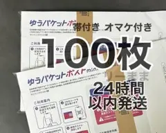 【100枚】ゆうパケットポストmini専用封筒 折り曲げ無し オマケ付き