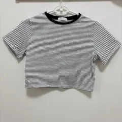 SENSE OF PLACE ボーダー Tシャツのサムネイル