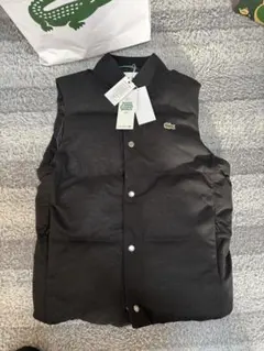2026年最新】LACOSTE メンズ ダウンベスト・キルティングベストの人気