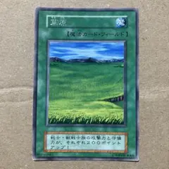 遊戯王 草原 フィールド魔法カード