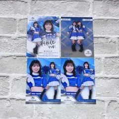 Item thumbnail for item c2fc1f9e-ad7f-4ad3-bd0f-83d8e4e89414