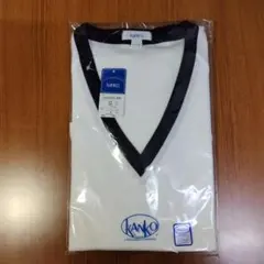 Item thumbnail for item fe01d401-2f4c-4aa8-9eb9-9227f6f4530d