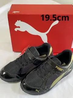 Item thumbnail for item 8479da13-9a08-46a3-8f4b-2a94897d5eeb