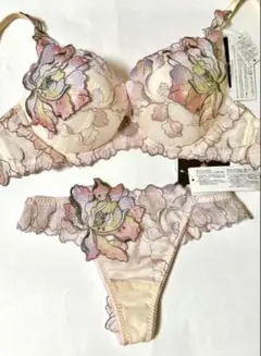 サルート5点セットプレステージ　珊瑚の海 OC