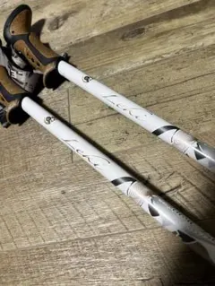 LEKI WCR LITE GSスキー ストック 105cm - メルカリ
