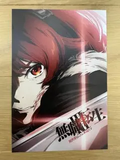 新品　無職転生 オンラインくじ　エリス　くじ引き堂クリアポスター　B賞セット 新品 無職転生 オンラインくじ エリス くじ引き堂クリアポスター B賞