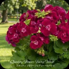 ふにゃんこ様 リクエスト 2点 まとめ商品