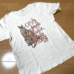 Item thumbnail for item cffb8634-6a8b-45cf-976d-59e6a68c0466