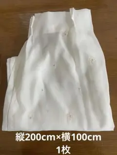 ニトリ　 レースカーテンジゼル2