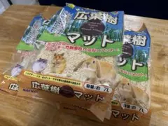 Item thumbnail for item 20031964-ab00-4edd-abe9-5747c88e3178