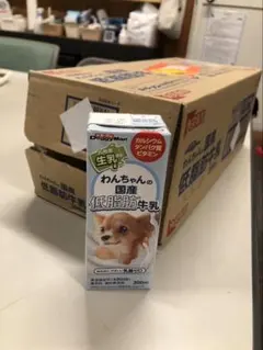 Item thumbnail for item c04cb3a7-2c96-4dd3-9658-68ff24572261