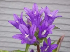 surftripchiba様 リクエスト 3点 まとめ商品