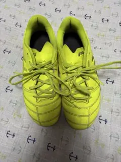 asics アシックス DS LIGHT サッカー スパイク 22cm
