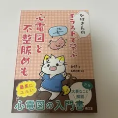 かげさんの イラストで学ぶ 心電図と不整脈めも