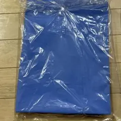 Item thumbnail for item b7ee4e19-4ce1-4481-8eef-2665c8783f55