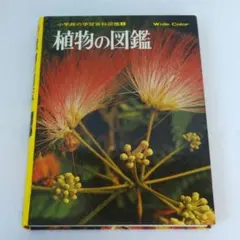 2026年最新】小学館の学習百科図鑑の人気アイテム - メルカリ
