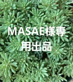 MASAE様専用
