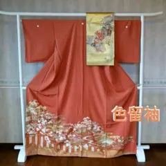 4999　色留袖着物　結婚式入学式　着物単品価格　正絹　オレンジ　紋付